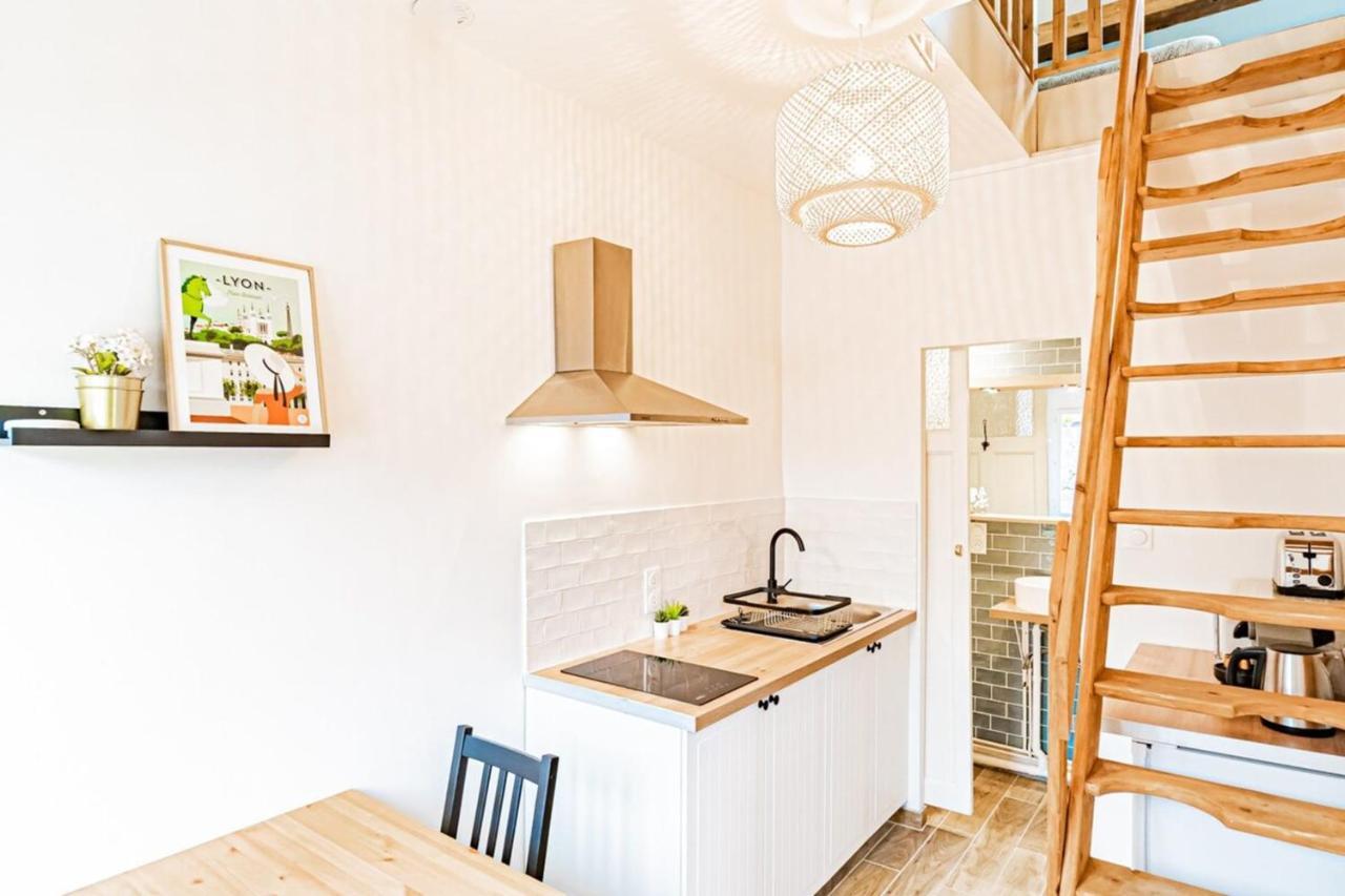 Duplex Poizat - Joli Appartement - Villeurbanne Buitenkant foto